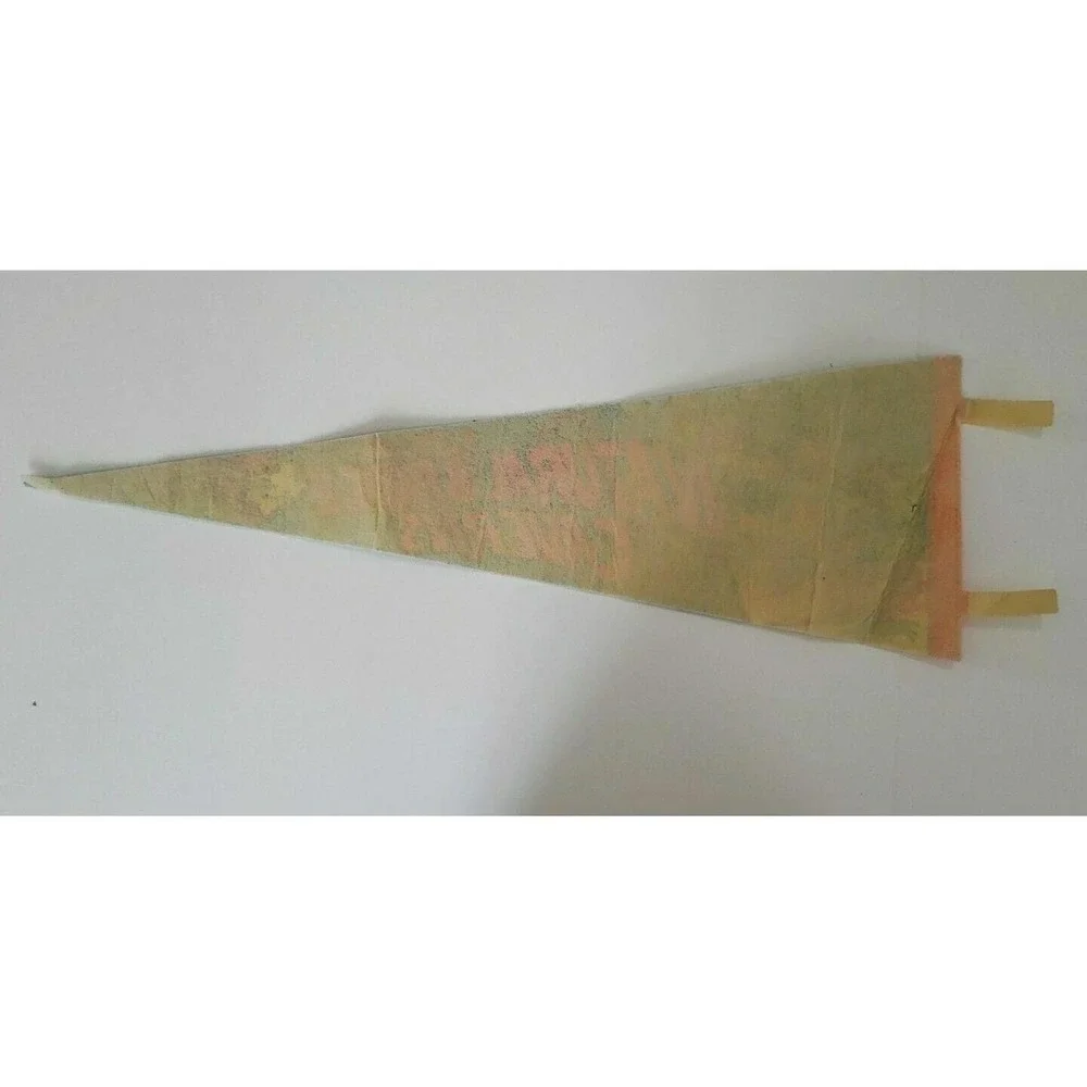 vintage 1977 Natural Bridge Caverns‎ Texas travel souvenir felt flag pennant